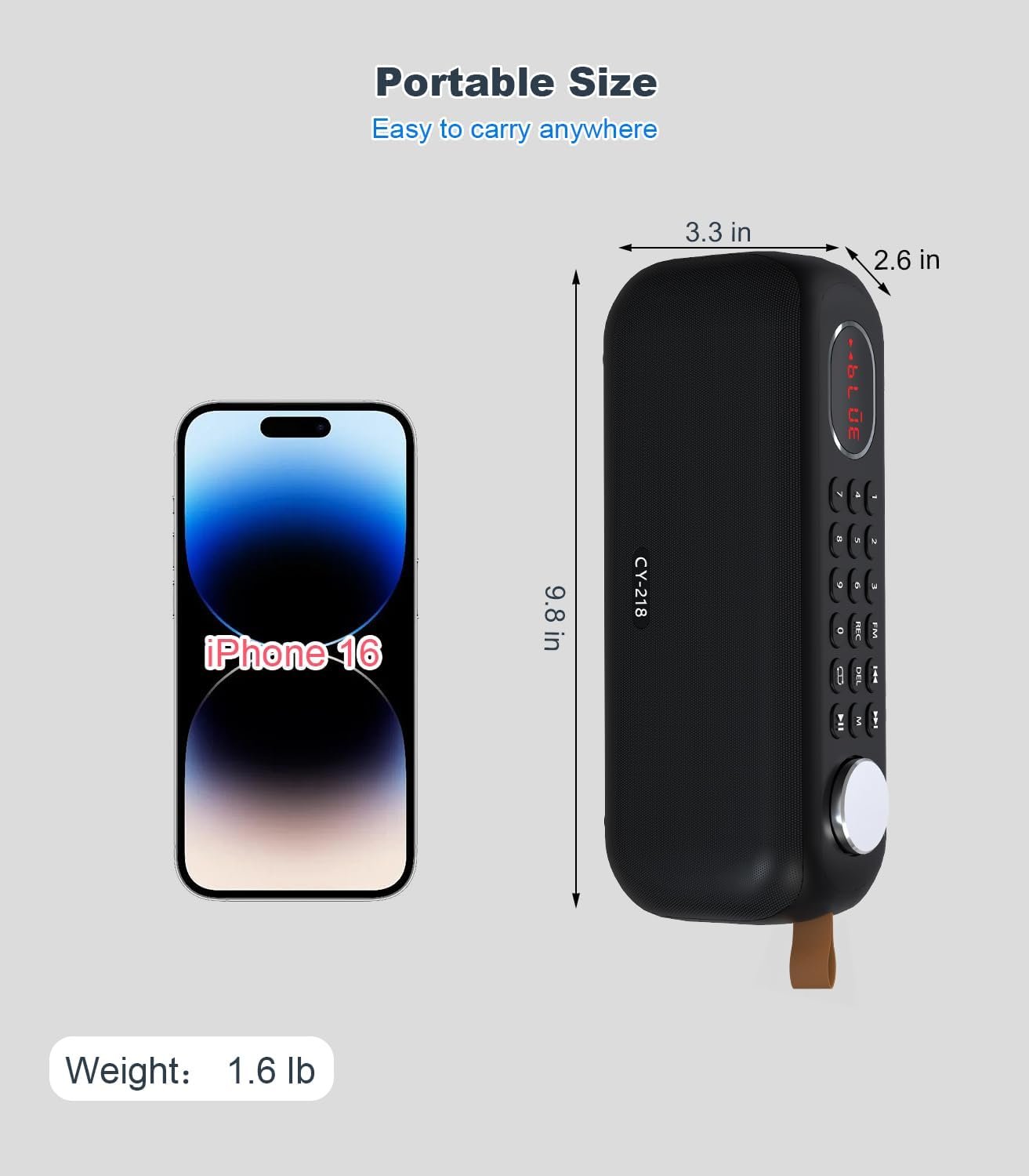Portable Bluetooth Speaker FM Radio Digital, Support USB/SD Card MP3 Music Player/AUX/REC, Build-in 3000mAh Rechargeable Battery, 10W Powerful Speaker and Earphone Jack for Indoor Outdoor - Image 7