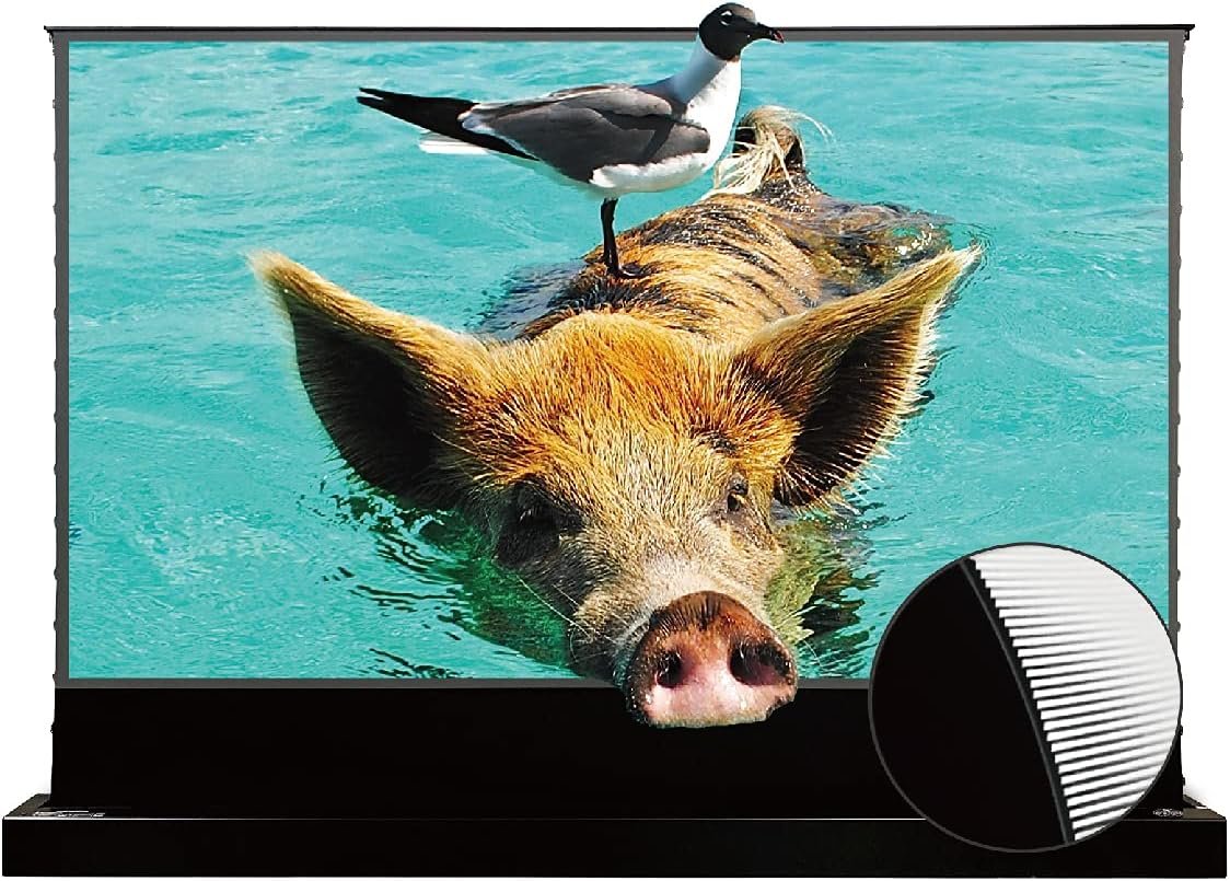 VIVIDSTORM S PRO Motorized Tension Floor Rising Projector Screen 100-inch | Home Cinema Setup |Black housing,VSDSTUST100H