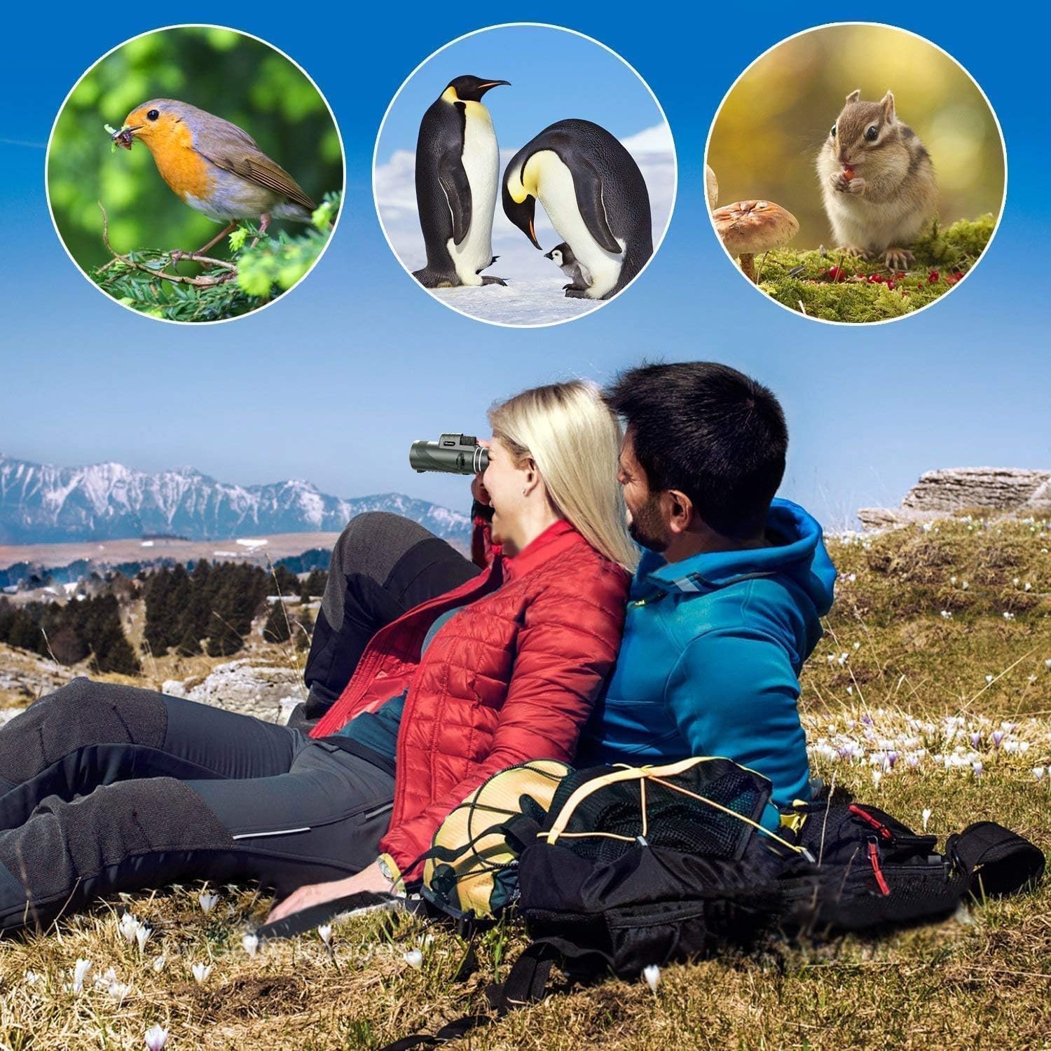 Monocular Compact Mini Telescope,40x60 Portable Handheld High Powered Monocular for Adults, Tech Gadgets Perfect for Bird Watching, Fishing, Travel and Scenery - Image 6